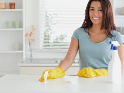 Revolutionary Low Prices on Expert Home Cleaning in the SW19 Area
