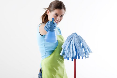 House cleaning essentials in a modern living room