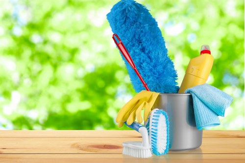 Eco-friendly commercial cleaning service in a workplace