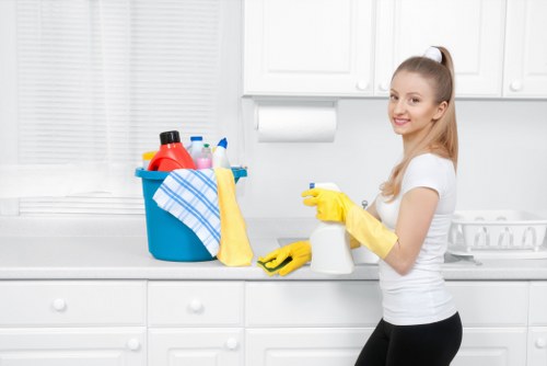 Professional upholstery cleaning for a fabric sofa