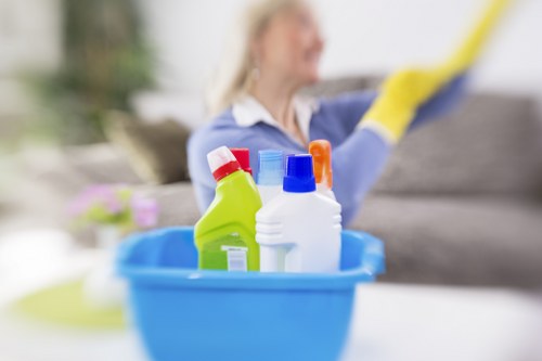 Kitchen and bathroom house cleaning tools arranged neatly