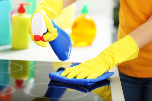 Cleaning cabinet interiors as part of move in cleaning