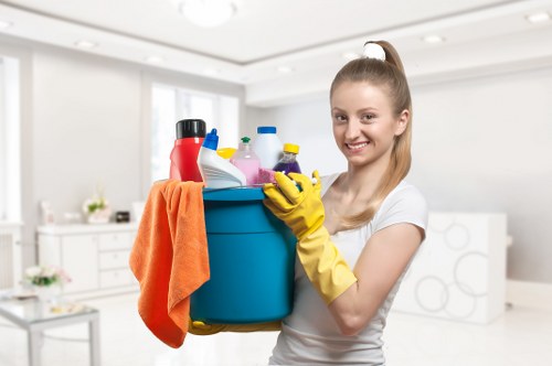 Professional cleaning supplies used for Airbnb turnover cleaning